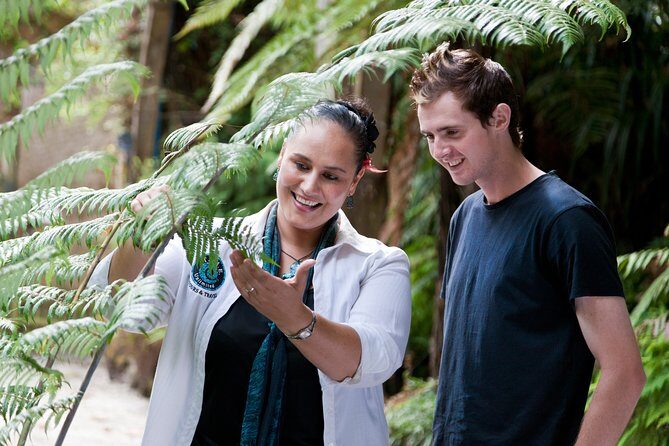 Auckland Maori Tour - What to Expect on the Auckland Maori Tour