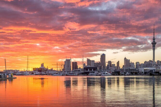 Auckland Mori Culture Experience - Private Tour - Who Will Love This Tour?