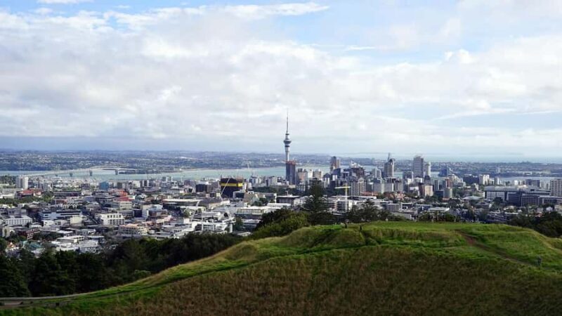 Auckland Museum and Highlight Sightseeing Tour - Who Will Love This Tour?