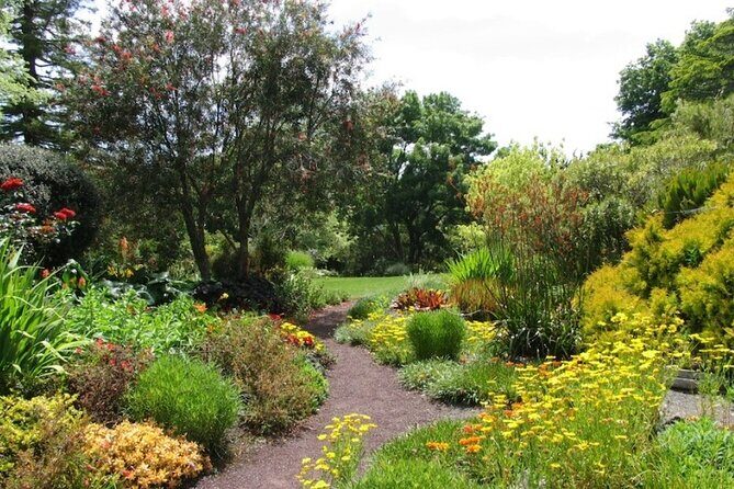 Auckland Nature Tour - The Sum Up: Who Will Love This Tour?