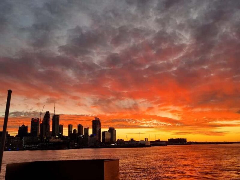 Auckland: Nightlights Harbour Cruise with Canapés and Drink - Key Points