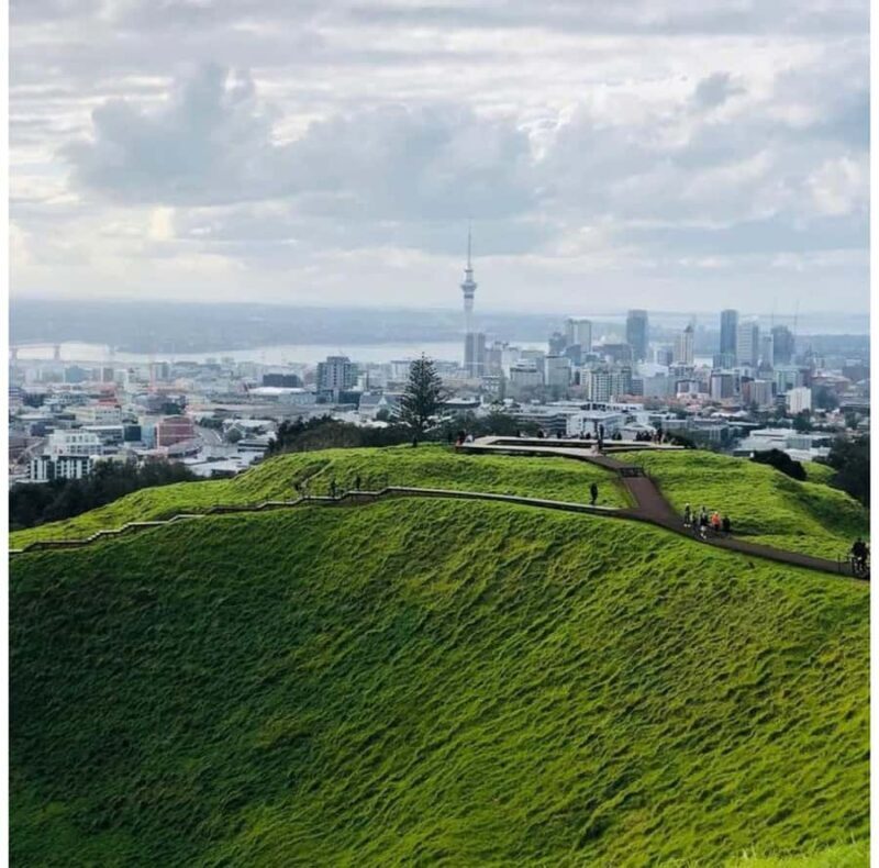 Auckland: Piha Beach, Rainforest, & Mount Eden Private Tour - An In-Depth Look at the Experience
