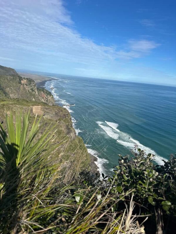 Auckland: Piha Beach, Rainforest, & Mount Eden Private Tour - Who Will Love This Tour?