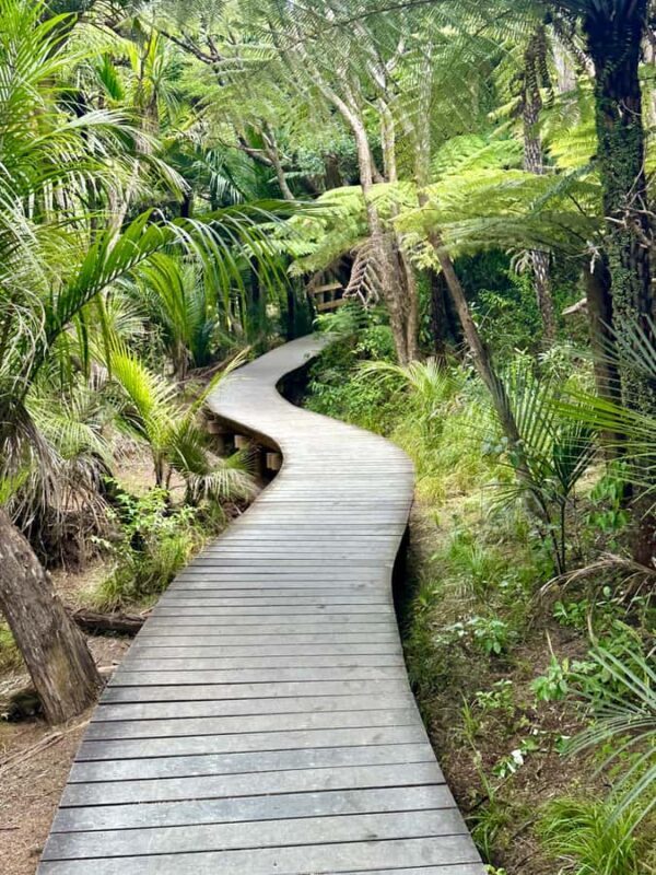 Auckland: Piha Beach, Rainforest, & Mount Eden Private Tour - The Sum Up