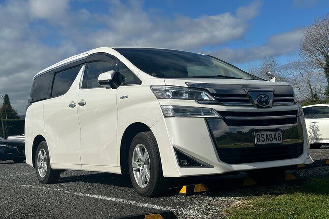 Auckland Private City Highlights Tour 5hrs Sightseeing Experience - A Detailed Look at What You Can Expect