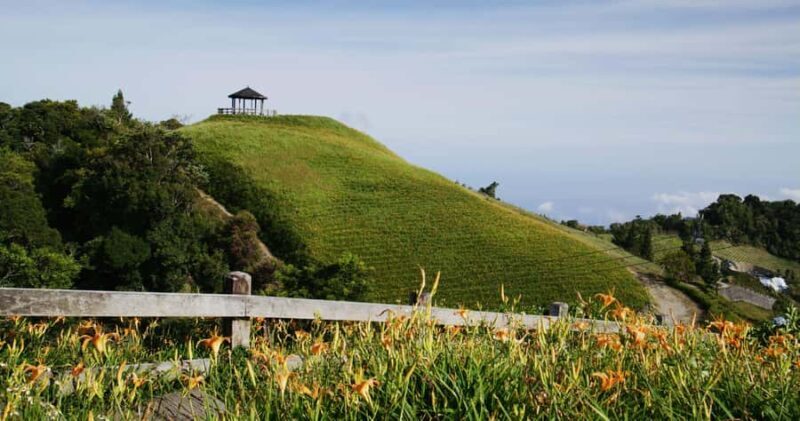 Auckland: Private City Tour with Mount Victoria and Mt. Eden - Discovering Auckland’s Iconic Sights