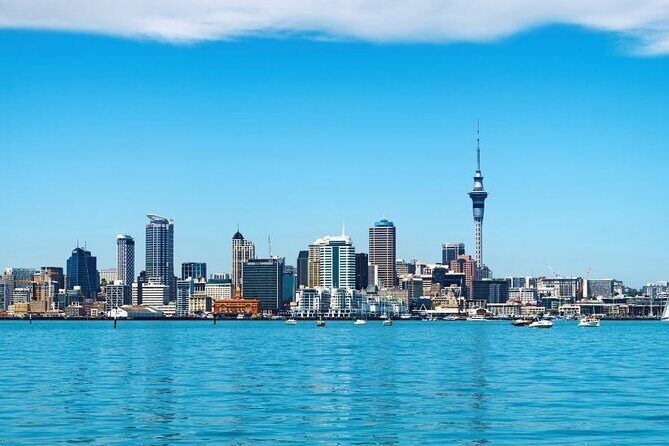 Auckland Private Custom Walking Tour with A Guide (Private Tour) - What’s Included and What’s Not?