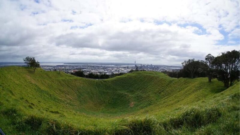 Auckland: Private Sightseeing Full or Half Day Guided Tour - Who Would Enjoy This Tour?