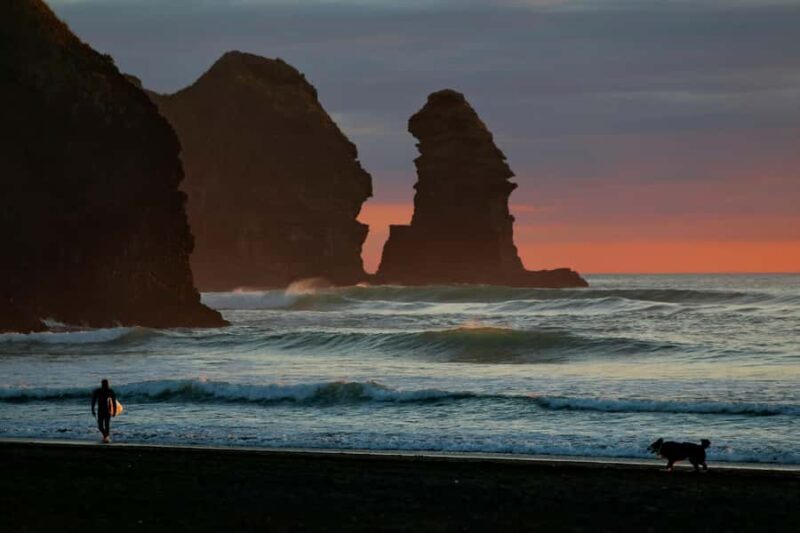 Auckland Private Tour: West Coast Wilderness & Piha Beach - The Practical Side: Transportation, Timing, and Flexibility