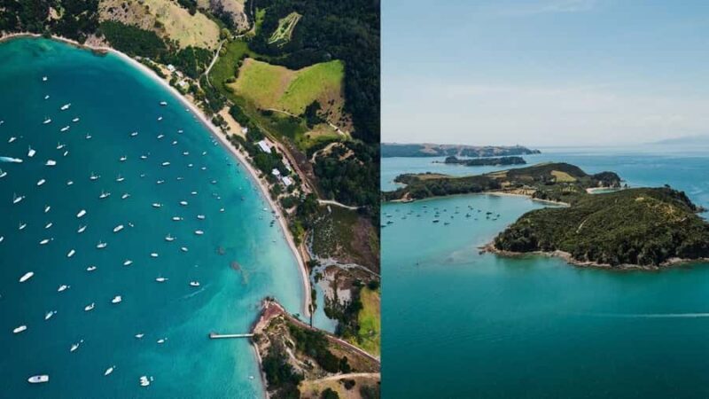 Auckland: Rotoroa Island and Man O'War Vineyard Combo Tour - Key Points