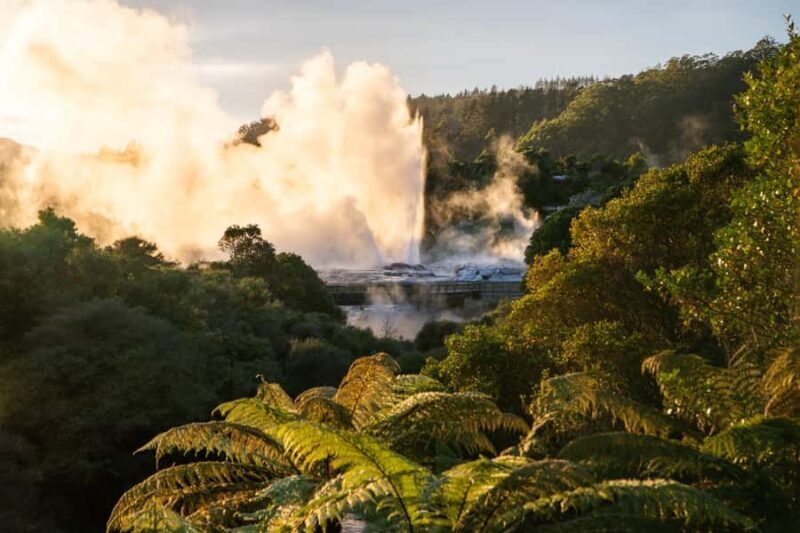 Auckland: Rotorua Highlights inc Wai O Tapu & Te Puia Tour - An In-Depth Look at the Rotorua Highlights Tour