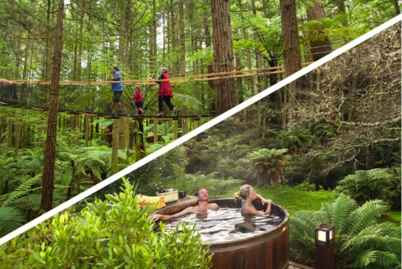 Auckland: Rotorua Highlights w Redwoods Treewalk & Hot Tubs - Who Would Love This Tour?