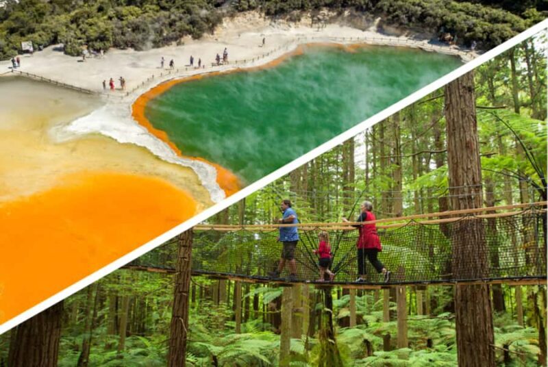 Auckland: Rotorua Highlights w WaiOTapu & Redwoods Treewalk - A Deep Dive into the Rotorua Highlights Tour
