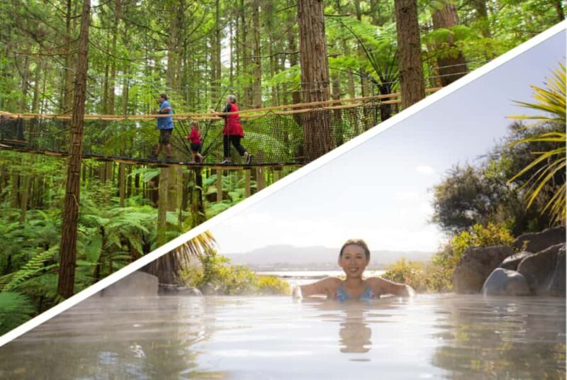 Auckland: Rotorua Highlights with Redwoods Treewalk & Spa - Key Points