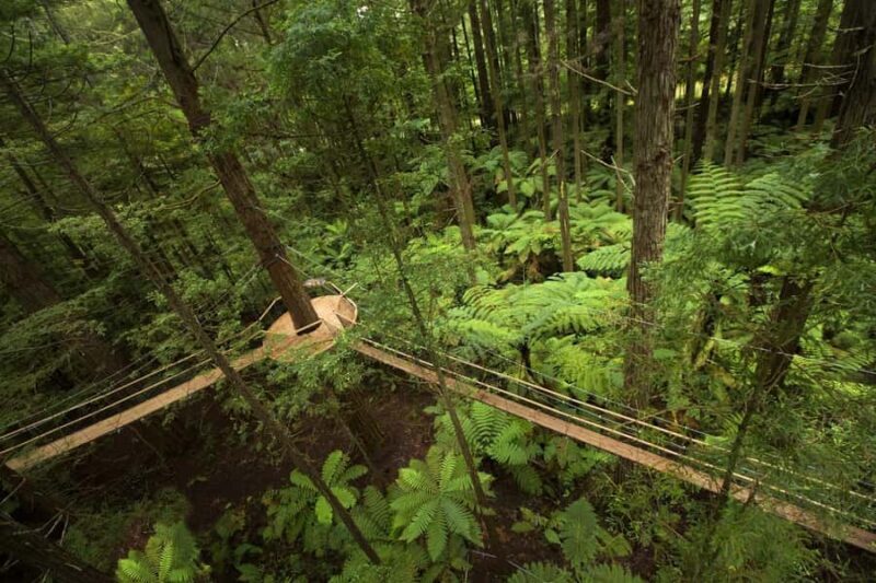 Auckland: Rotorua Highlights with Redwoods Treewalk & Spa - What’s Included and What’s Not