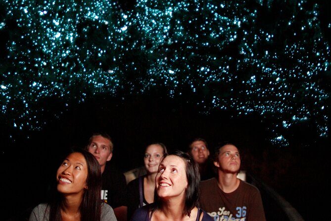 Auckland: Rotorua Mori Village, Waitomo Caves & Lunch - Practical Details and Value