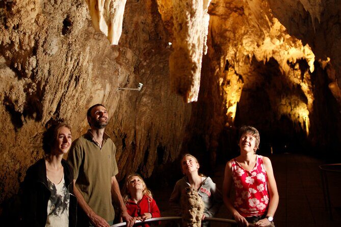 Auckland: Rotorua Mori Village, Waitomo Caves & Lunch - FAQ