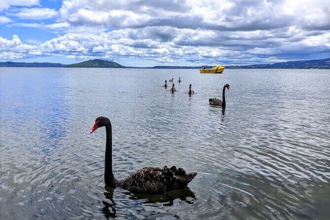 Auckland: Rotorua, Taupo, Waiotapu & Huka Falls Private Trip - FAQ