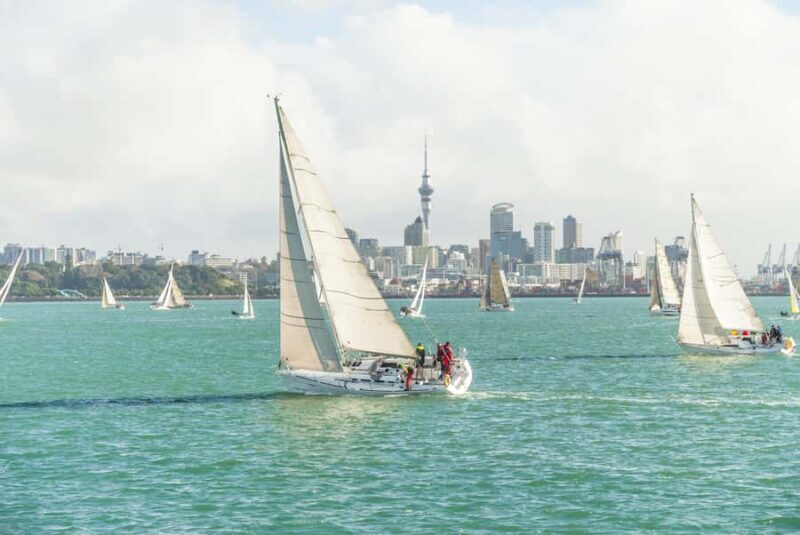 Auckland Scenic Half-Day City Sightseeing Tour - Authenticity & Local Insights