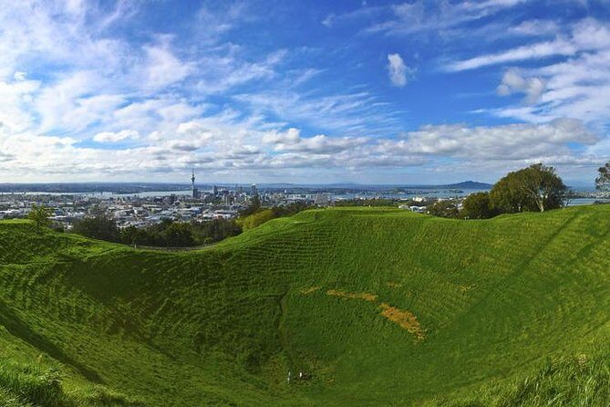 Auckland Scenic Tour : Must-See Sights in Half Day - Authentic Feedback from Travelers