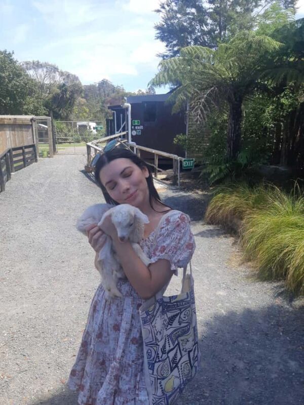 Auckland: Sheepworld, Honey Centre, & Kauri Trail Tour - Detailed Review of the Auckland Sheep, Honey, and Kauri Tour