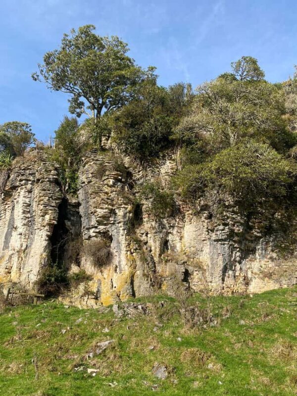 Auckland: Spellbound Glowworm Caves Explorer Tour - Final Thoughts