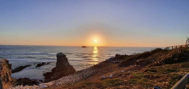 Auckland: Sunset Tour with Thermal pool & Wine Tasting - An In-Depth Look at the Experience