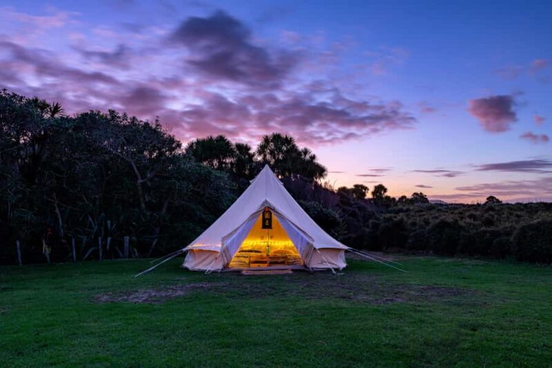 Auckland (Tawharanui): Wild Kiwi Bird Spotting Encounter - Frequently Asked Questions