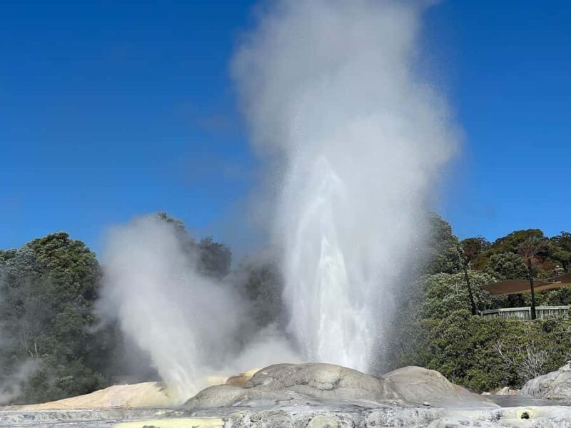 Auckland: Te Puia & Wai Ariki Hot Springs Tour - FAQ