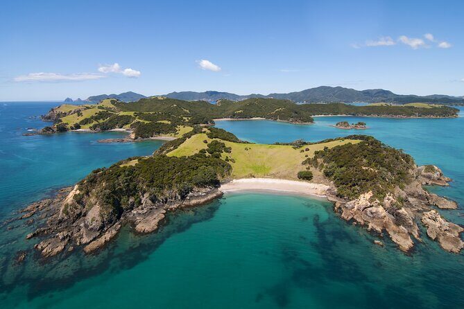 Auckland to Paihia via West Coast Small Group Tour (One Way) - The Sum Up