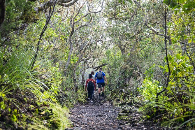 Auckland to Rangitoto Island Ferry - Final Thoughts