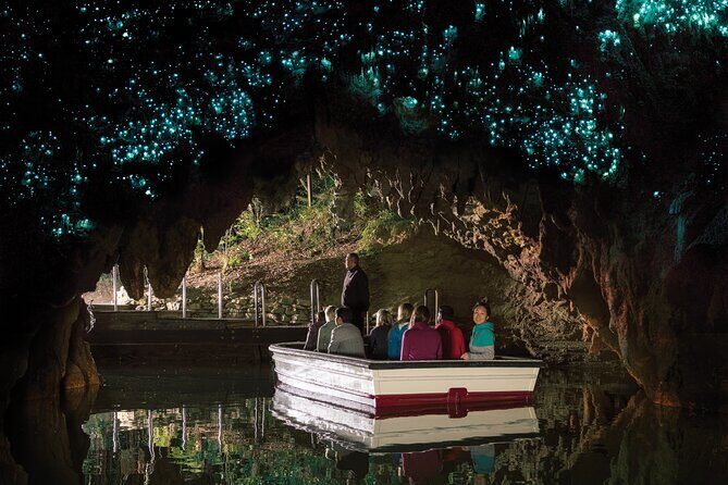 Auckland to Rotorua, Hobbiton and Waitomo 1 Way Small Group Tour - Who Will Love This Tour?