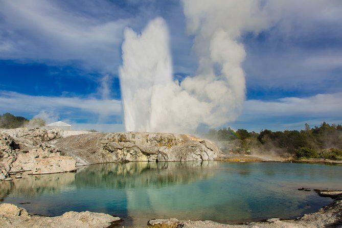 Auckland to Rotorua Private Tour - Key Points