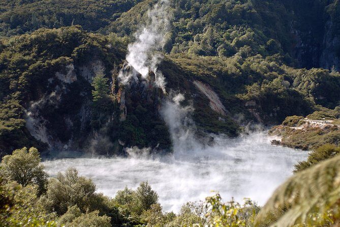 Auckland to Rotorua Private Tour - What to Expect from the Auckland to Rotorua Private Tour