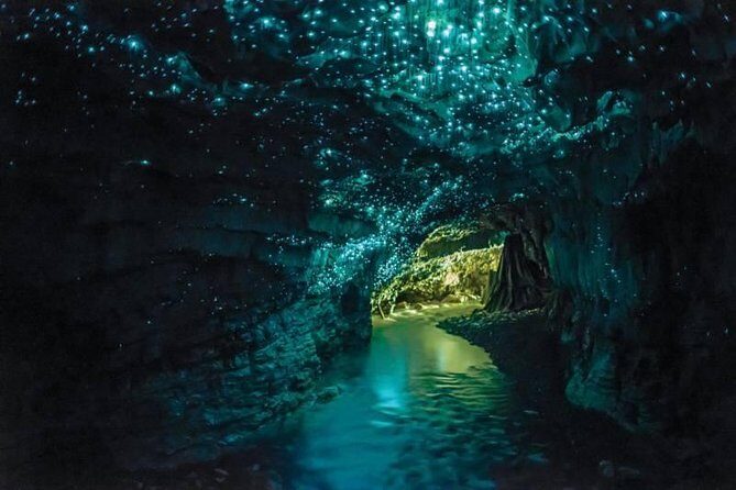 Auckland to Rotorua via Waitomo Caves Small Group Tour (One Way) - Authentic Experiences Highlighted by Travelers
