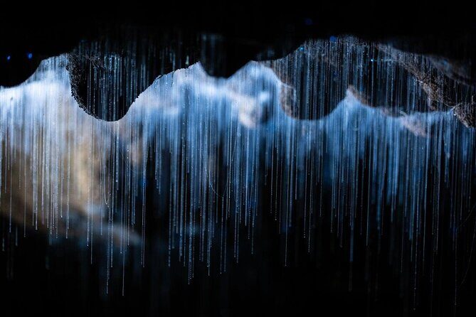 Auckland to Rotorua via Waitomo Caves Small Group Tour (One Way) - FAQ