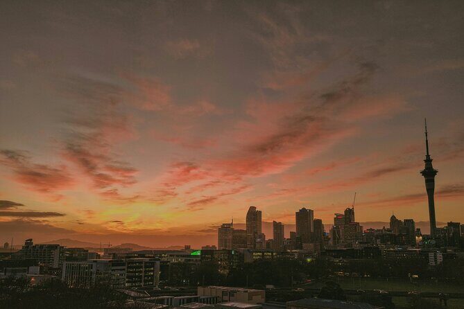 Auckland Urban Charm Half Day Tour - Transportation and Practical Details