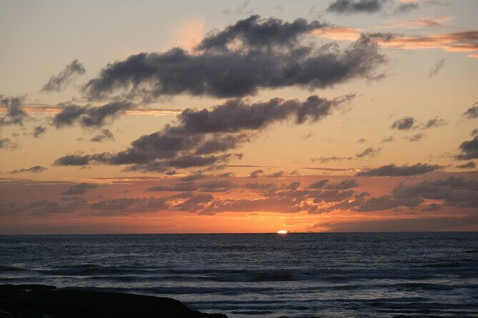 Auckland Urban Charm Half Day Tour - FAQs