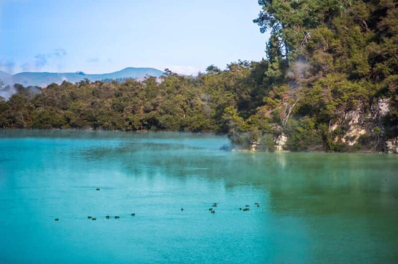 Auckland: Wai-O-Tapu and Lake Taupo Private Day Tour - Who Will Enjoy This Tour?