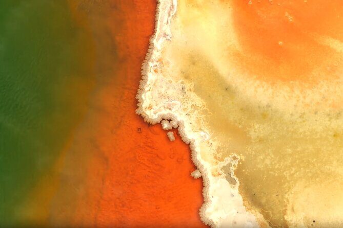 Auckland: WAI O TAPU Rotorua, Polynesian Spa & Blue Springs Tour - Return Journey to Auckland