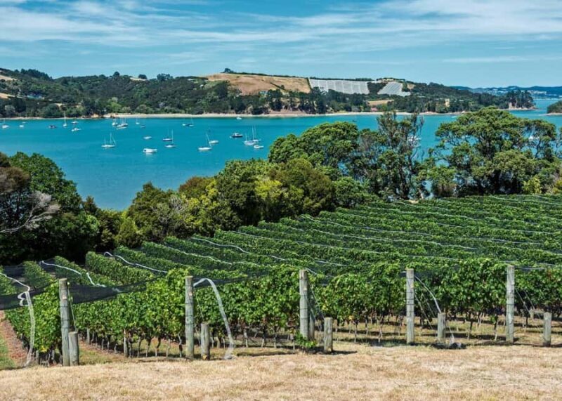 Auckland: Waiheke Island Luxury Experience Private Tour - FAQ