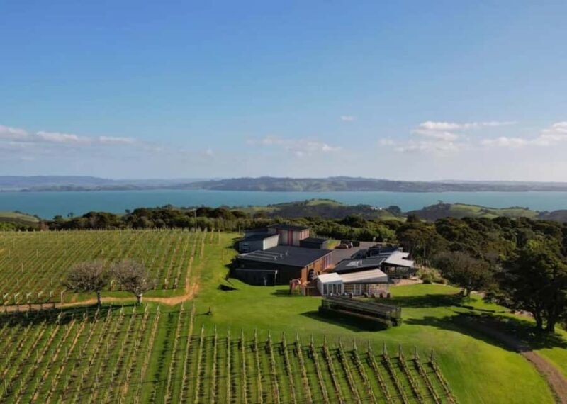 Auckland: Waiheke Island Wine and Food Tasting with Flights - Key Points