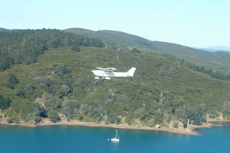 Auckland: Waiheke Island Wine and Food Tasting with Flights - An Overall Look at the Experience