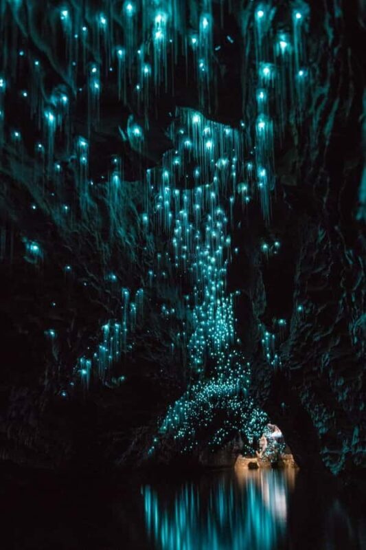 Auckland: Waitomo Caves & Rotorua - Te Puia Small-Group Tour - An In-Depth Look at the Tour Experience