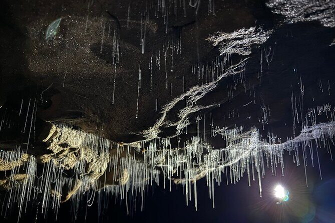 Auckland : Waitomo Spellbound Glow Worm Twin Caves Private Tour - What Makes This Tour Stand Out?