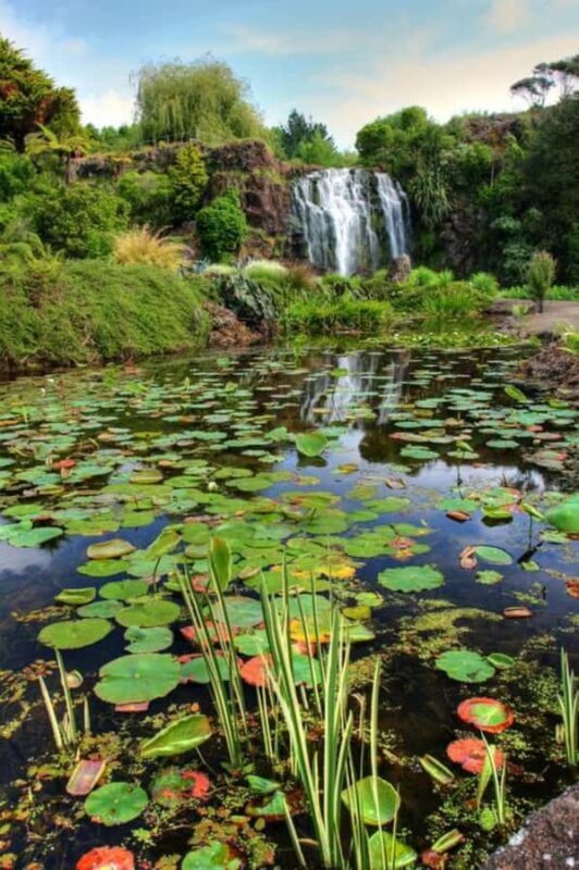 Auckland Waterfall Tour - Starting at Auckland Sky Tower and Oakley Creek Falls