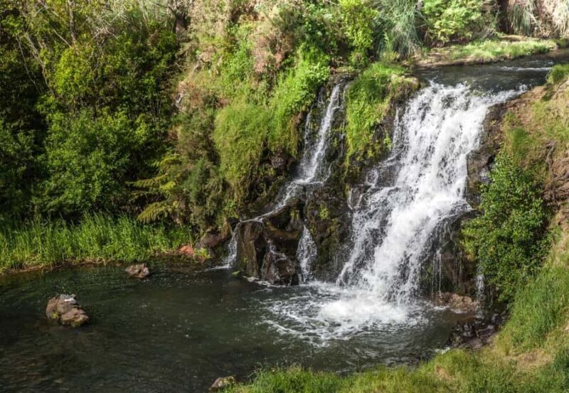 Auckland Waterfall Tour - Discovering Maketu Falls: A Hidden Gem