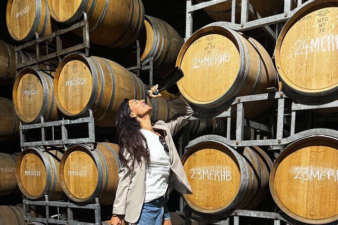 Auckland West Vineyard Tour with lunch and tastings incl - An Overview of the Tour Experience