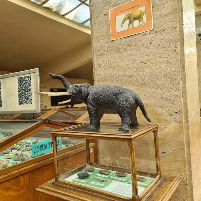 Audio Guide for Museum Paleontology and Historical Geology - Introduction