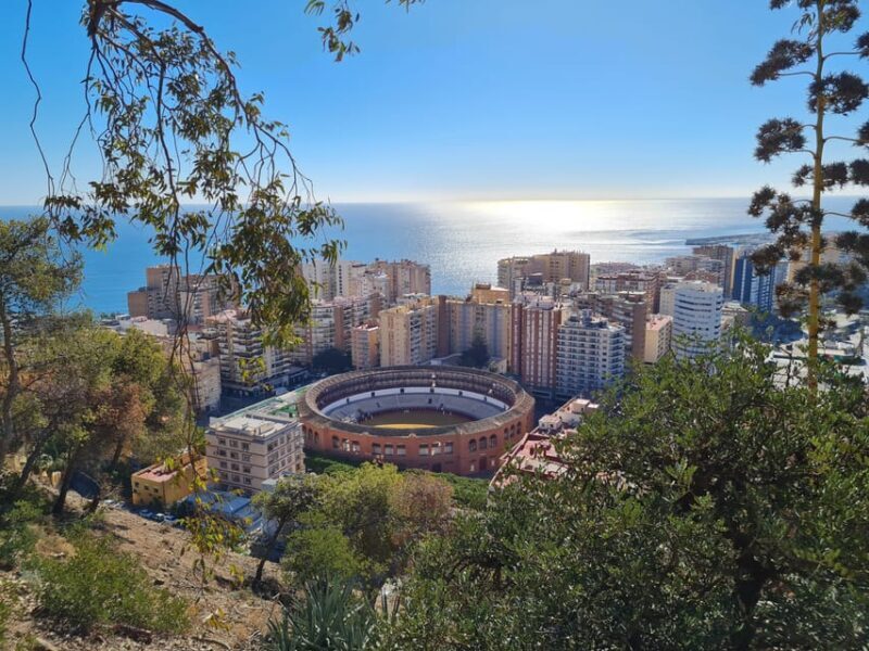 Audioguide City Walk Malaga for cruises (German & English) - Who Will Love This Tour?